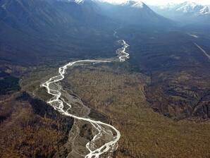 Rocky River, Jasper National Park
