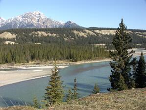 Athabasca River - Jasper National Park