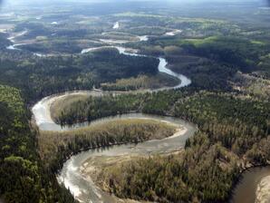 MacLeod River - meander