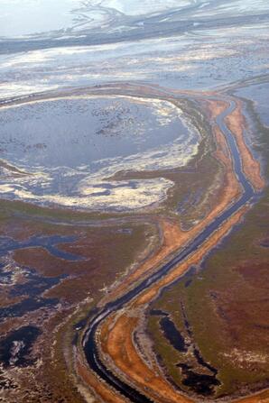 Peace-Athabasca Delta