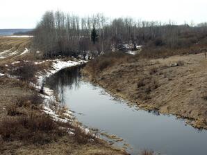Baptiste Creek