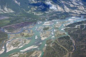 Athabasca River - Jasper National Park