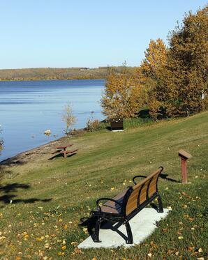 Picnic table along Lakeshore Trail
