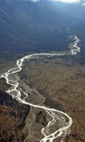 Aerial view of Rocky River in Jasper National Park