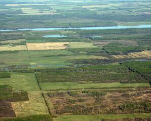 Boreal forest and Land clearing near Steele -02