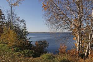Autumn foliage at Lac la Biche