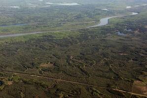 Boreal Forest near Fort Assiniboine-02