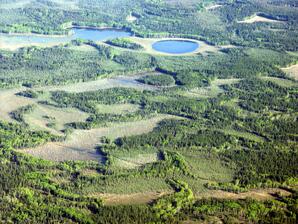 Boreal Forest near Fort Assiniboine-03