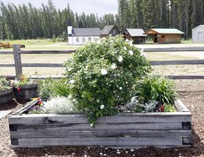 Raised Bed in Heritage Park Garden