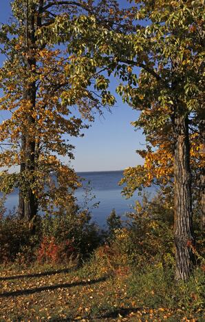 Autumn leaves along the Lac la Biche Lakeshore Trail