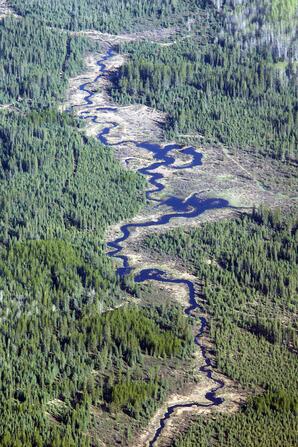 Meandering River near Whitecourt