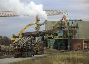Alberta Pacific Pulp Mill - Unloading Logging Trucks-01