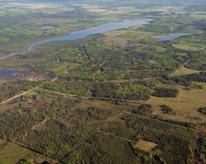 Boreal forest and Land clearing near Steele-04