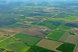 Aerial view of farmland near Westlock, AB