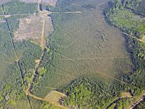 Forest Fragmentation near Hinton