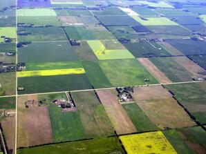 Aerial view of Typical Alberta Farmland-06