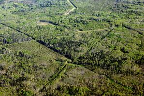 Forest Fragmentation near Whitecourt