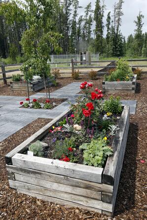 Raised Beds in Heritage Park Garden