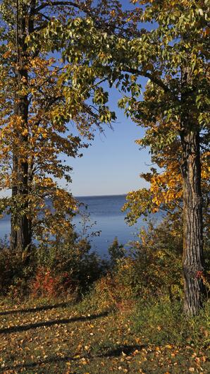 Autumn leaves along the Lac la Biche Lakeshore Trail