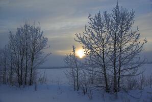 Winter Sunrise with Hoarfrost, Athabasca County-03