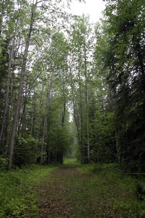Shaw Lake Trail