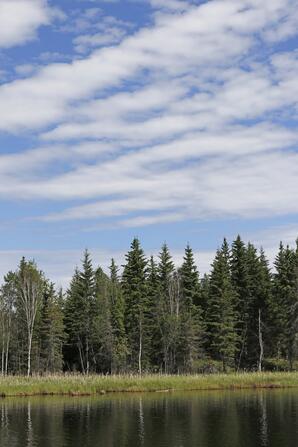 Clouds above Narrow Lake