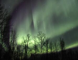 Northern Lights above Baptiste Lake-02
