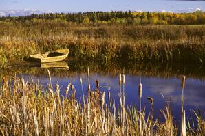 Old Boat on a Pond near Athabasca