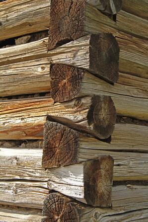 Corner of Log Building-01