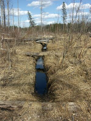 Beaver Canal-02