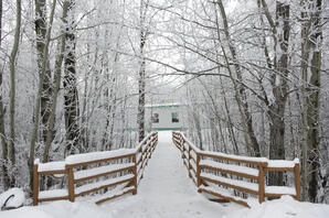 Bridge Walkway in Winter