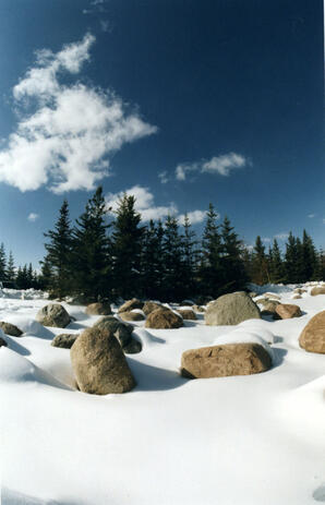 AU Athabasca - Winter at Main Campus