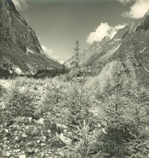 Miroslav Hruska Trekking Expedition