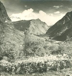 Miroslav Hruska Trekking Expedition