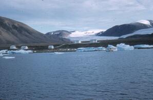 View of Alexandra Fiord