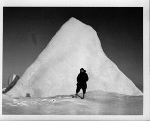 Sea ice