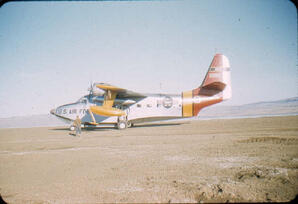 Search Amphibian