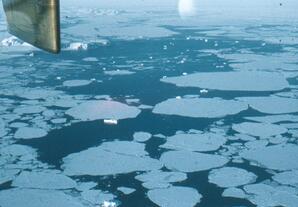 Ice floes in Kane Basin