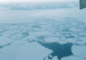 Sea ice