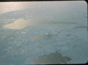 Iceberg