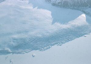 Shoreline and icebergs