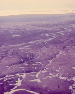 Terrain