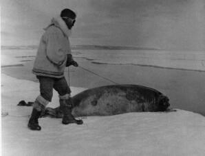 Inuit with walrus 2