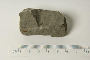 Siltstone