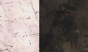 Plagioclase Feldspar (thin section)