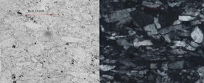 Gypsum (thin section)