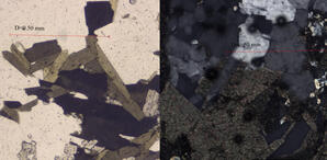 Biotite (thin section)