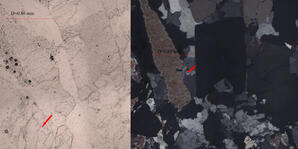 Tourmaline (thin section)