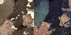Hornblende (thin section)