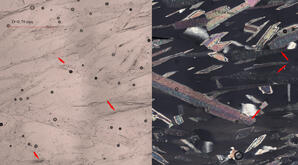 Muscovite (thin section)